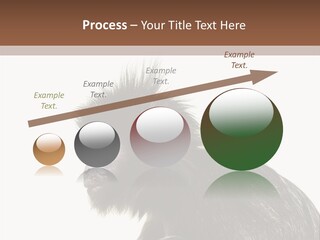 Forest Strong Orange PowerPoint Template