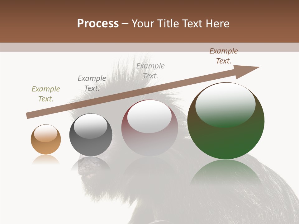Forest Strong Orange PowerPoint Template