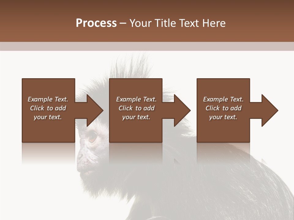 Forest Strong Orange PowerPoint Template