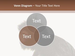 Forest Strong Orange PowerPoint Template