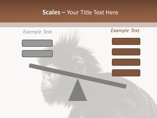 Forest Strong Orange PowerPoint Template
