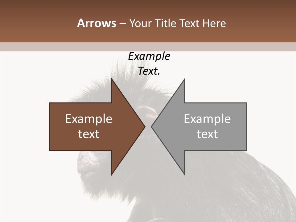 Forest Strong Orange PowerPoint Template