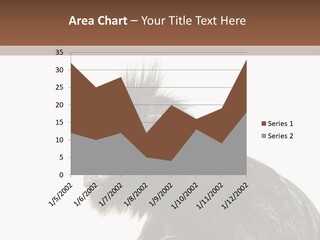 Forest Strong Orange PowerPoint Template