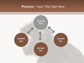 Forest Strong Orange PowerPoint Template