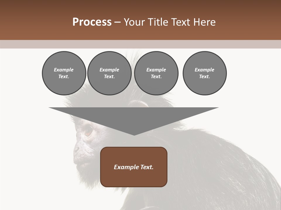 Forest Strong Orange PowerPoint Template