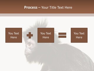 Forest Strong Orange PowerPoint Template