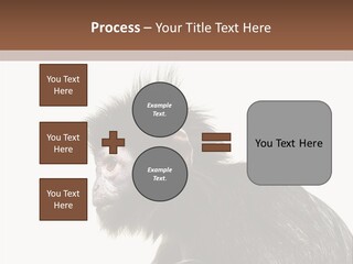Forest Strong Orange PowerPoint Template
