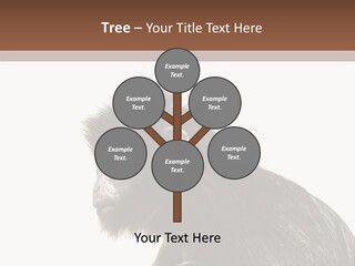 Forest Strong Orange PowerPoint Template