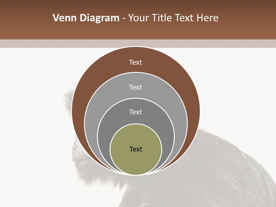 Forest Strong Orange PowerPoint Template