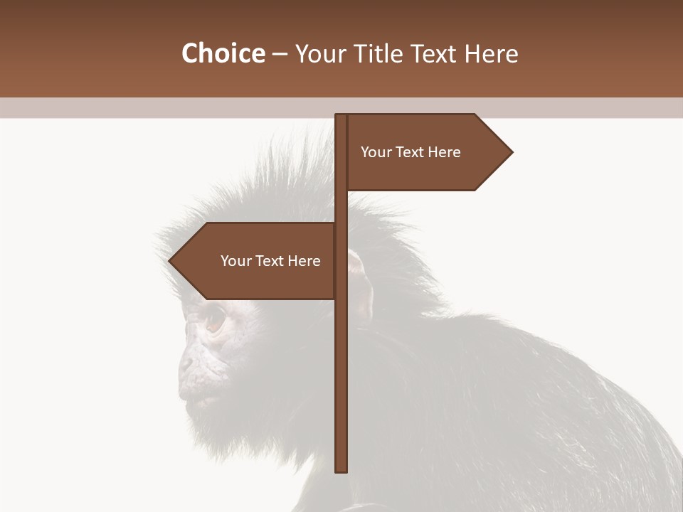 Forest Strong Orange PowerPoint Template