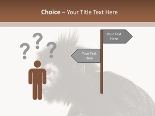 Forest Strong Orange PowerPoint Template