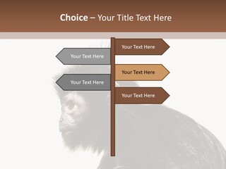 Forest Strong Orange PowerPoint Template