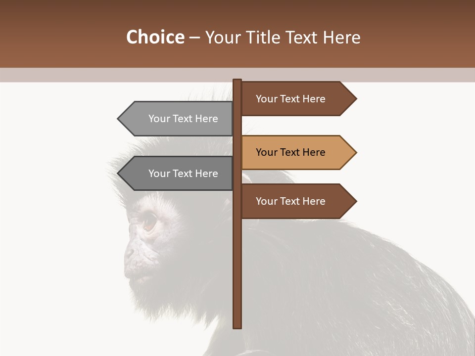 Forest Strong Orange PowerPoint Template