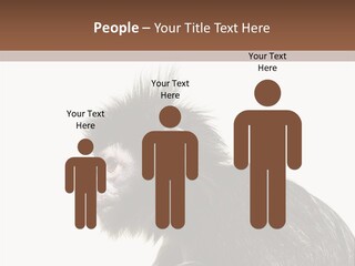 Forest Strong Orange PowerPoint Template