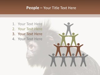Forest Strong Orange PowerPoint Template