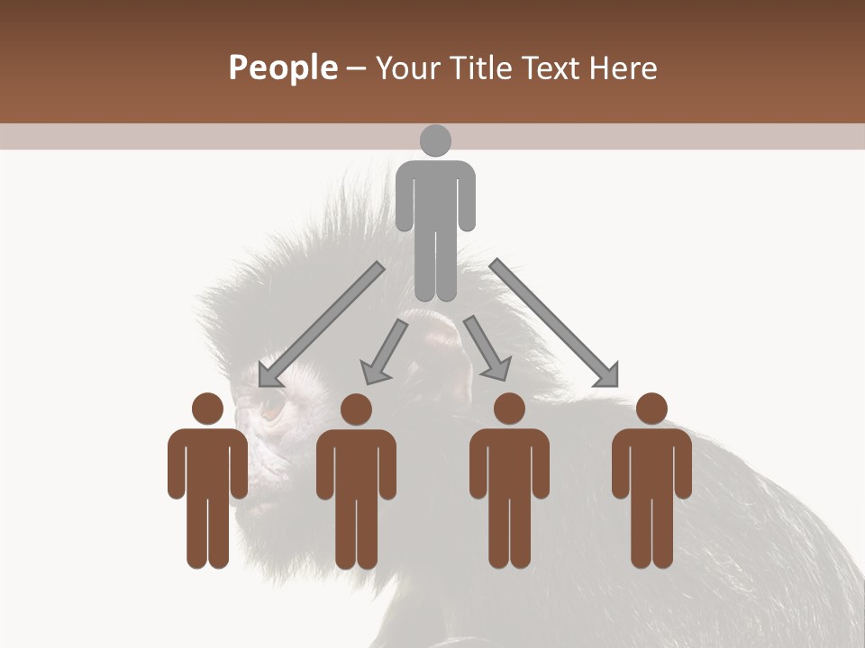 Forest Strong Orange PowerPoint Template