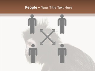 Forest Strong Orange PowerPoint Template