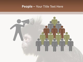 Forest Strong Orange PowerPoint Template