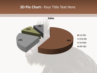 Forest Strong Orange PowerPoint Template