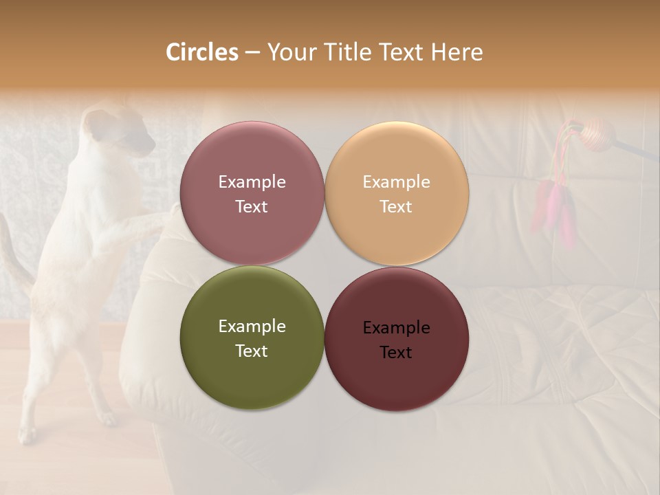 A Cat Standing On Its Hind Legs In Front Of A Couch PowerPoint Template