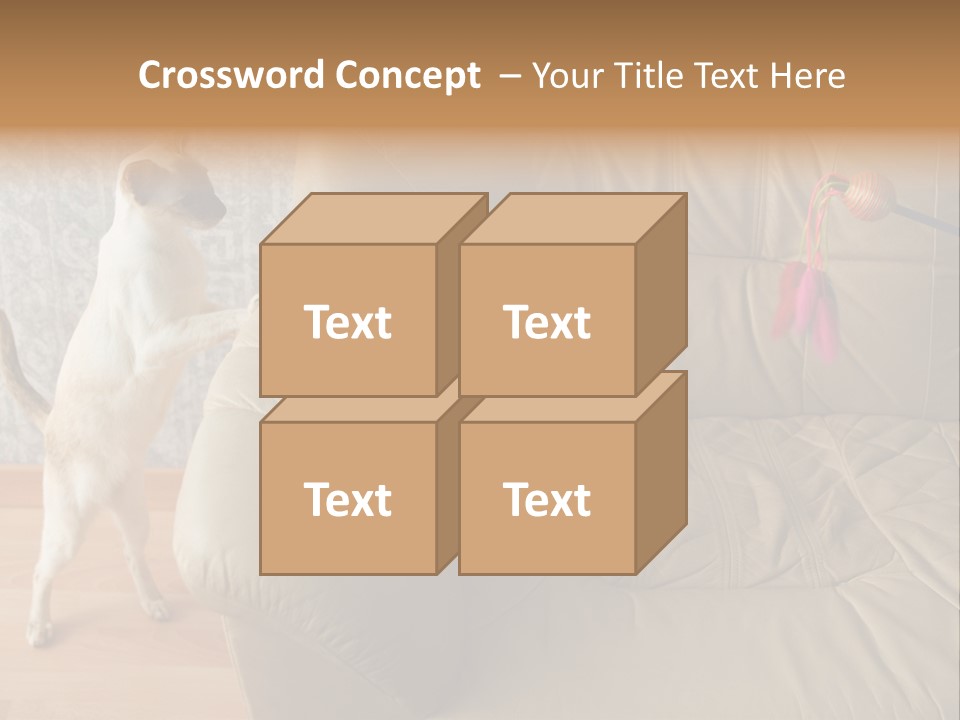 A Cat Standing On Its Hind Legs In Front Of A Couch PowerPoint Template