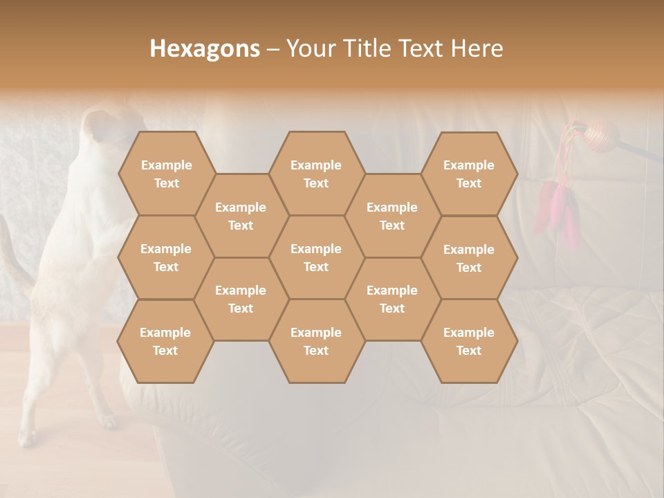 A Cat Standing On Its Hind Legs In Front Of A Couch PowerPoint Template