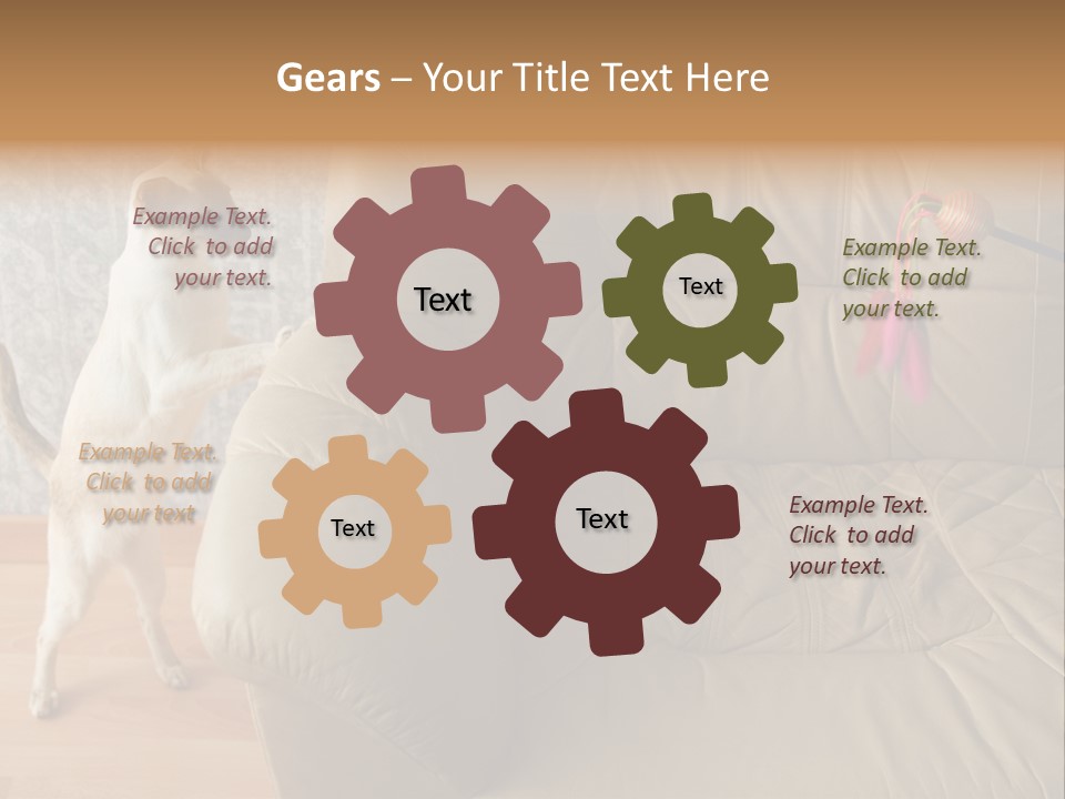 A Cat Standing On Its Hind Legs In Front Of A Couch PowerPoint Template