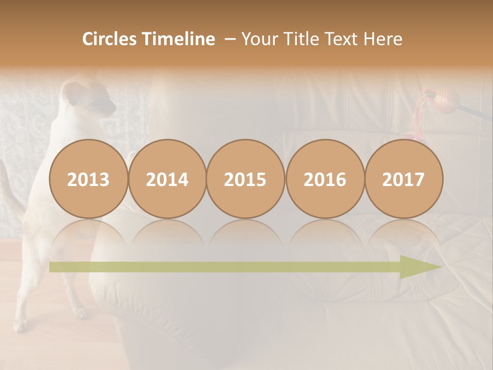 A Cat Standing On Its Hind Legs In Front Of A Couch PowerPoint Template