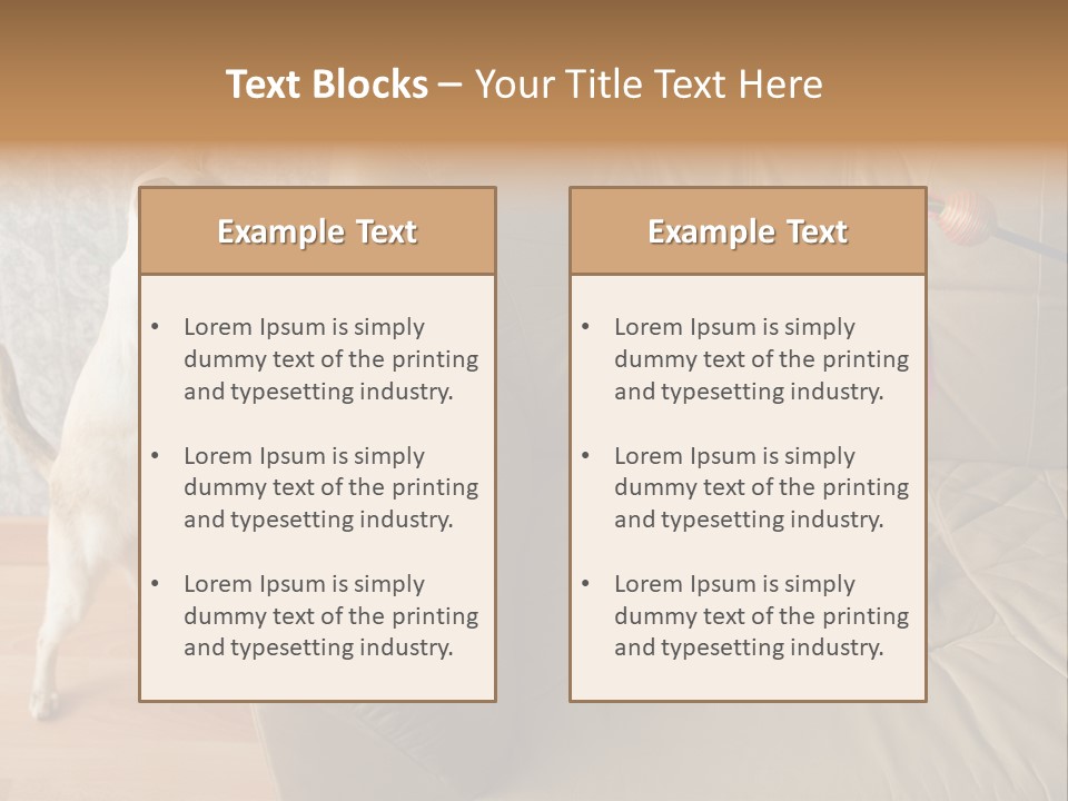 A Cat Standing On Its Hind Legs In Front Of A Couch PowerPoint Template