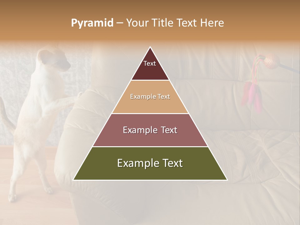 A Cat Standing On Its Hind Legs In Front Of A Couch PowerPoint Template