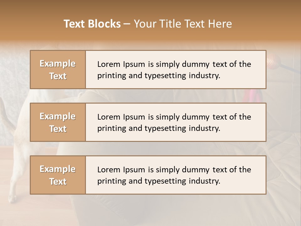 A Cat Standing On Its Hind Legs In Front Of A Couch PowerPoint Template