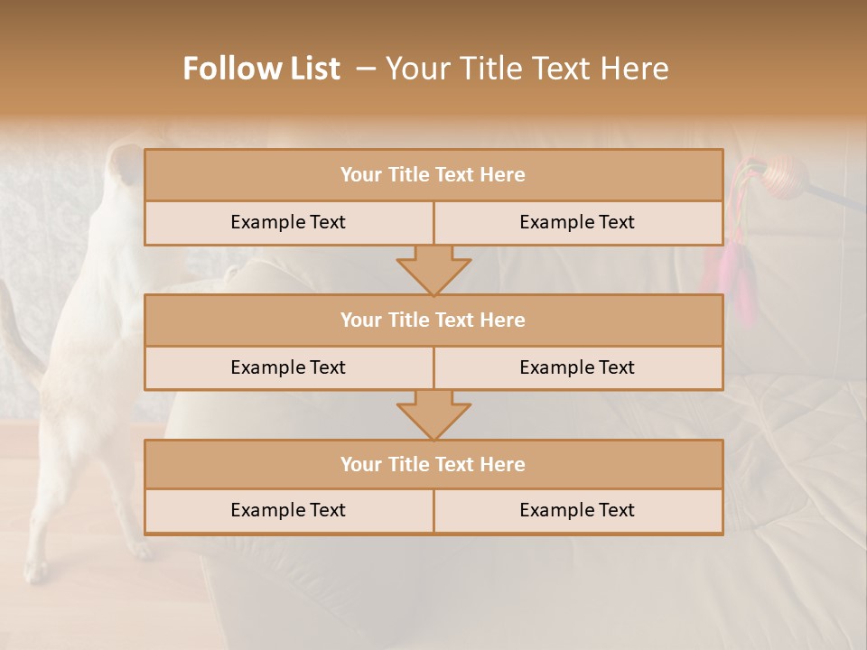 A Cat Standing On Its Hind Legs In Front Of A Couch PowerPoint Template