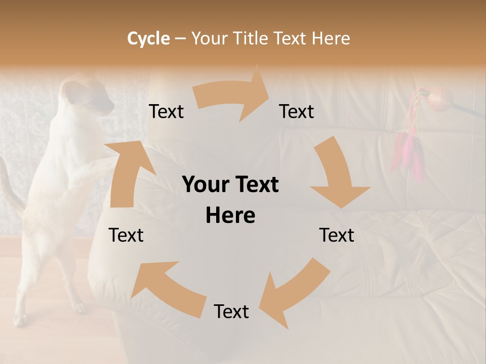 A Cat Standing On Its Hind Legs In Front Of A Couch PowerPoint Template