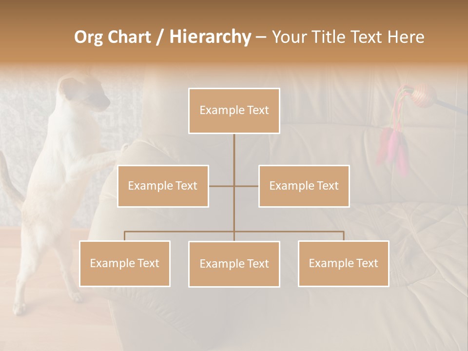 A Cat Standing On Its Hind Legs In Front Of A Couch PowerPoint Template