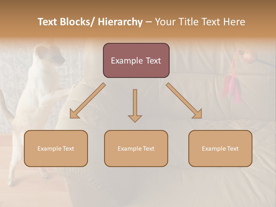 A Cat Standing On Its Hind Legs In Front Of A Couch PowerPoint Template