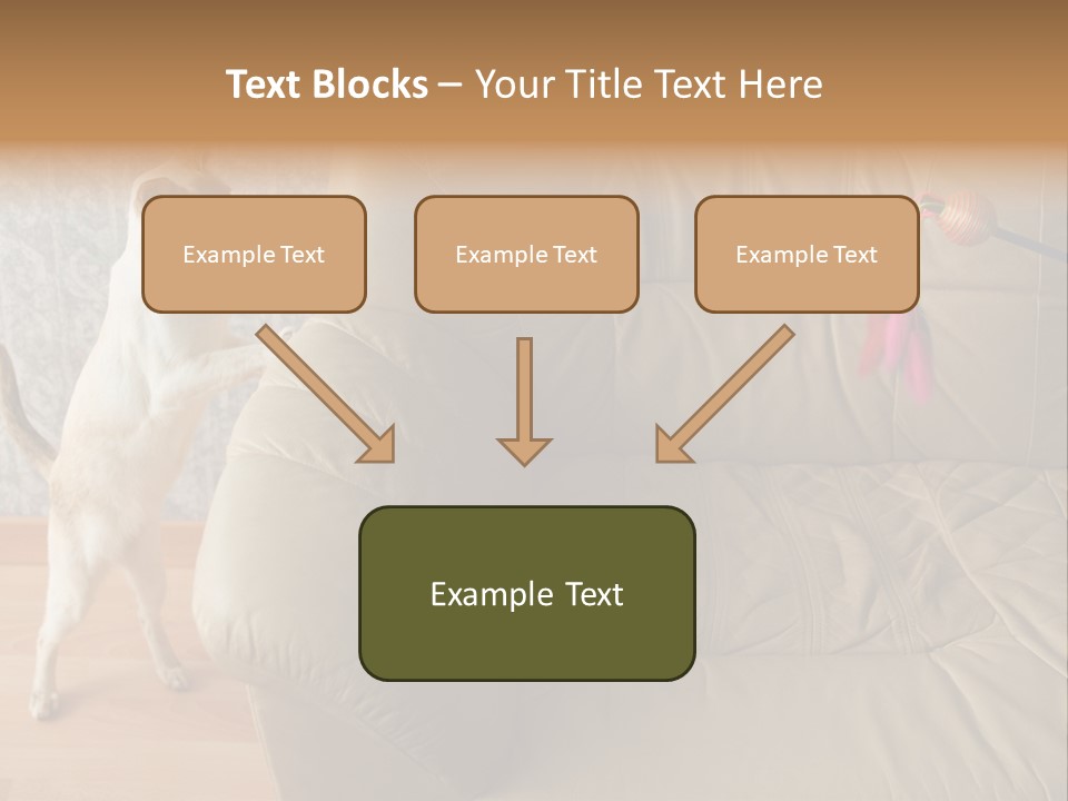 A Cat Standing On Its Hind Legs In Front Of A Couch PowerPoint Template