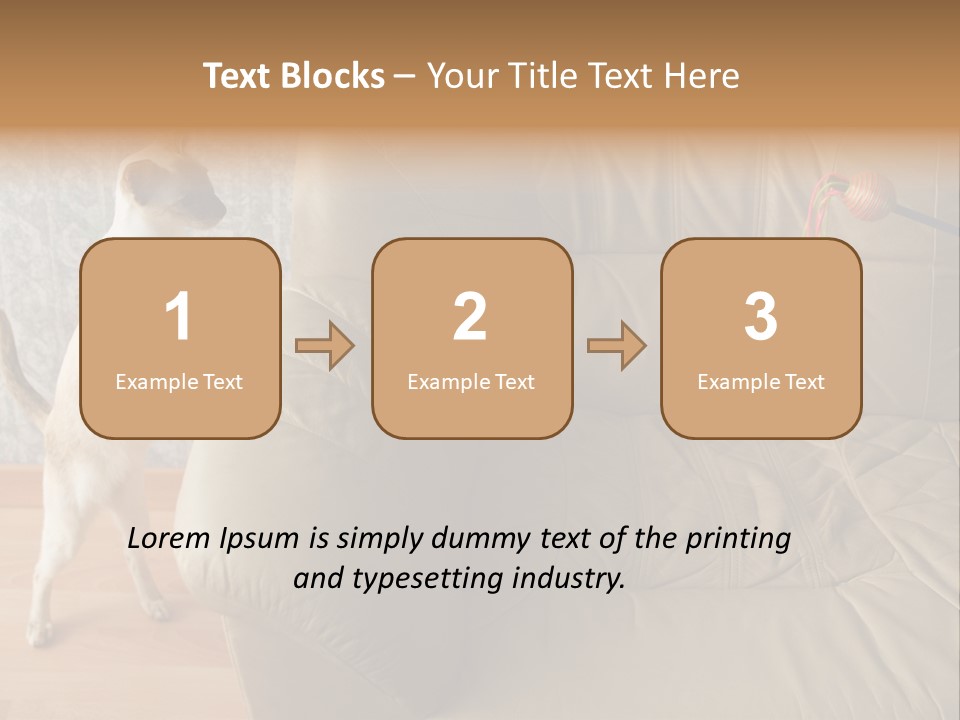 A Cat Standing On Its Hind Legs In Front Of A Couch PowerPoint Template