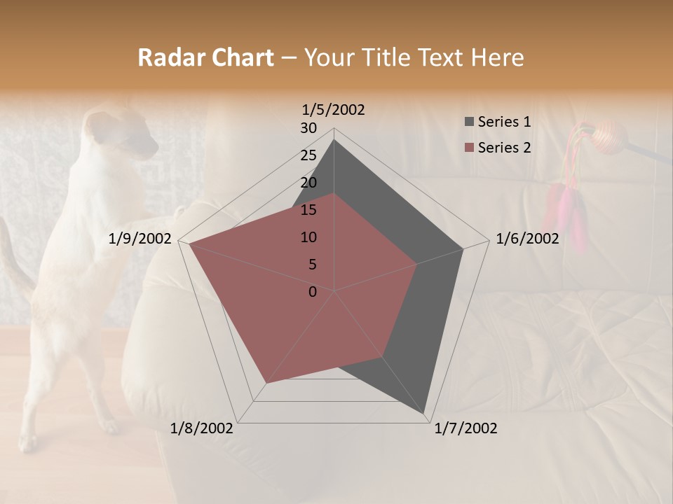 A Cat Standing On Its Hind Legs In Front Of A Couch PowerPoint Template