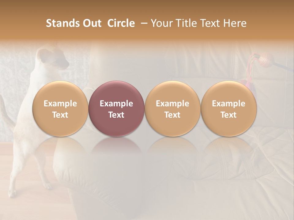 A Cat Standing On Its Hind Legs In Front Of A Couch PowerPoint Template