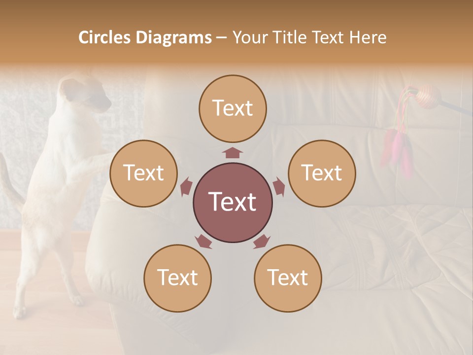 A Cat Standing On Its Hind Legs In Front Of A Couch PowerPoint Template