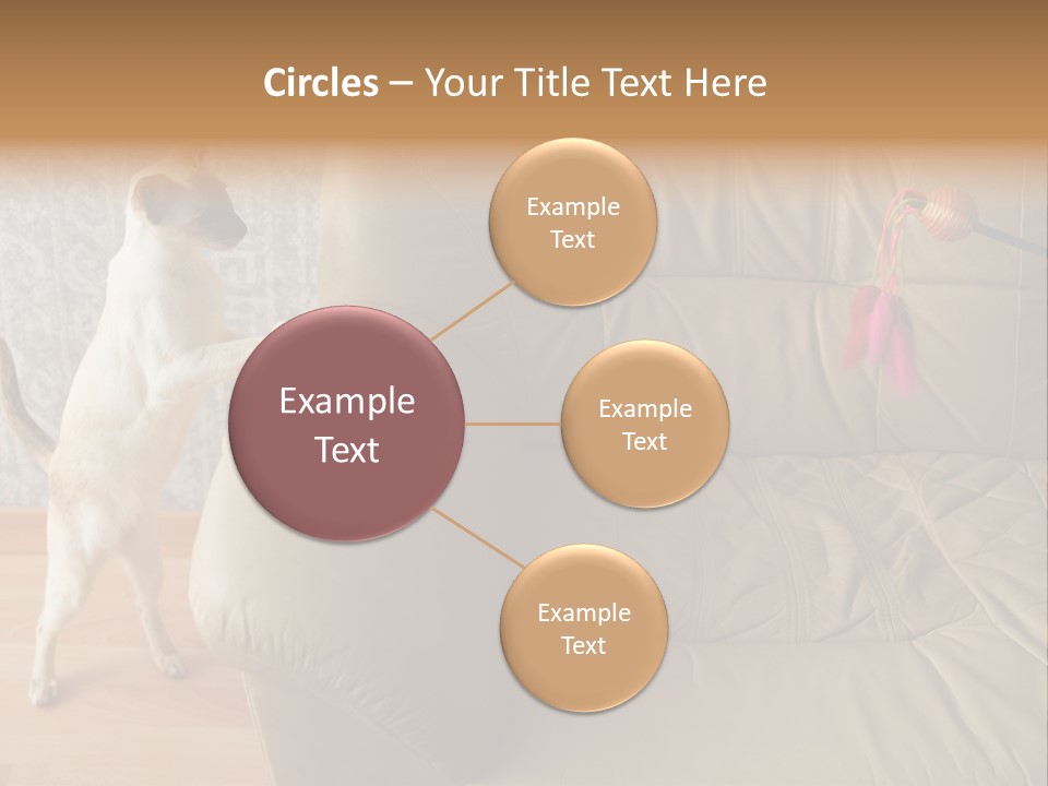 A Cat Standing On Its Hind Legs In Front Of A Couch PowerPoint Template