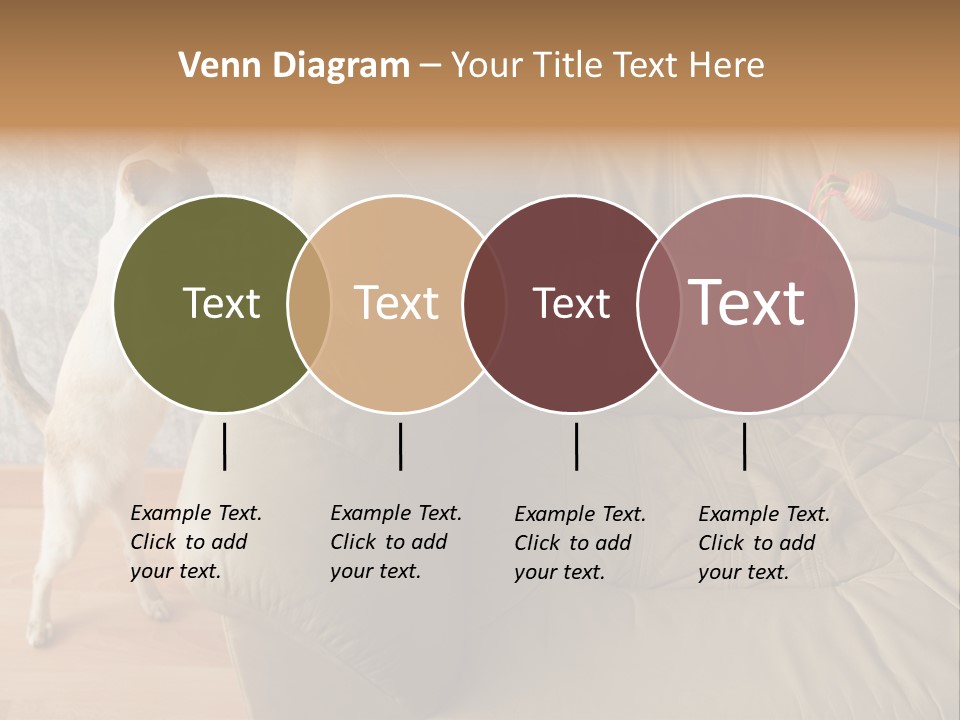 A Cat Standing On Its Hind Legs In Front Of A Couch PowerPoint Template