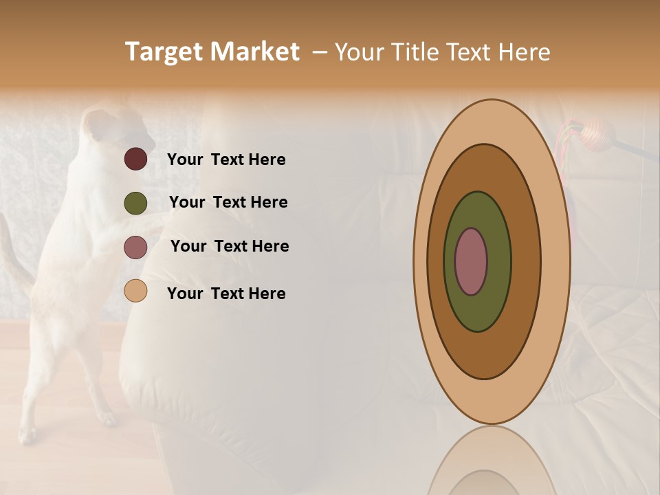 A Cat Standing On Its Hind Legs In Front Of A Couch PowerPoint Template