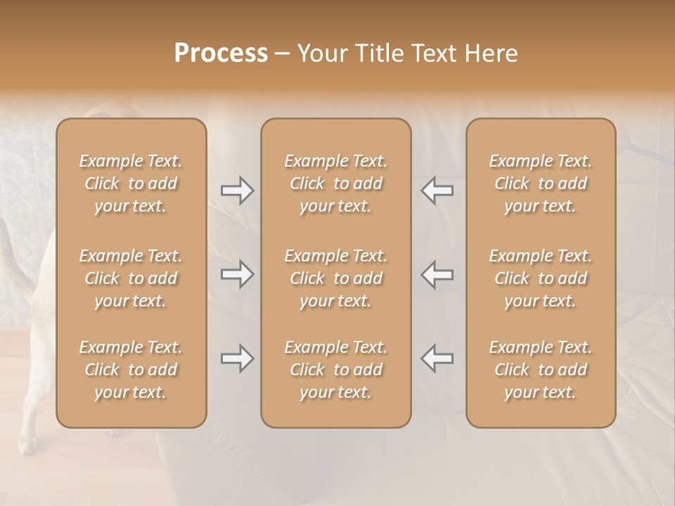 A Cat Standing On Its Hind Legs In Front Of A Couch PowerPoint Template