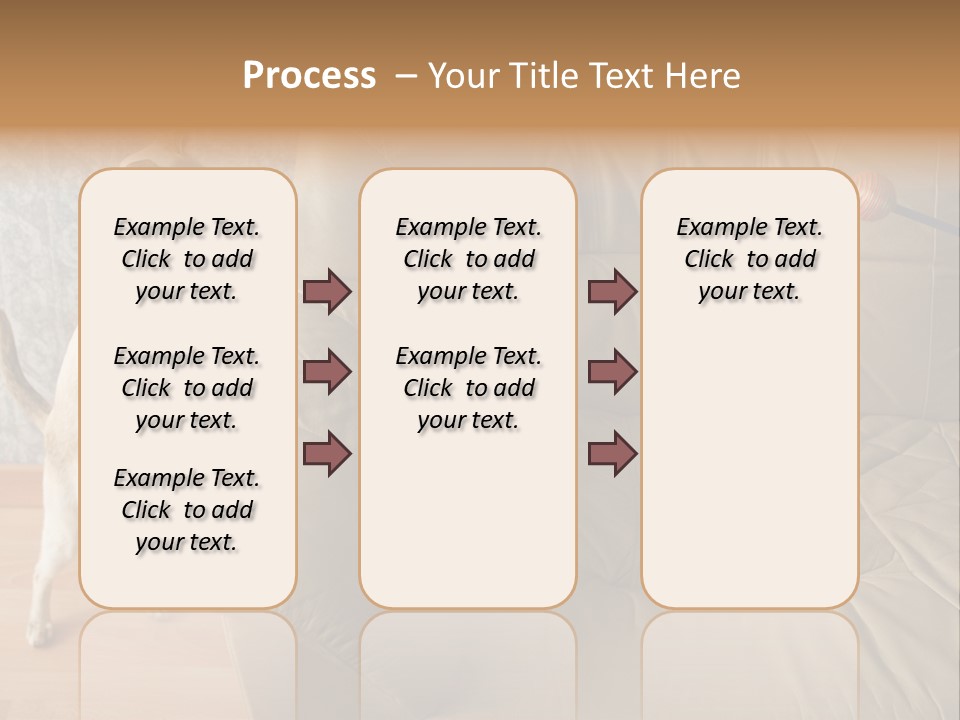 A Cat Standing On Its Hind Legs In Front Of A Couch PowerPoint Template