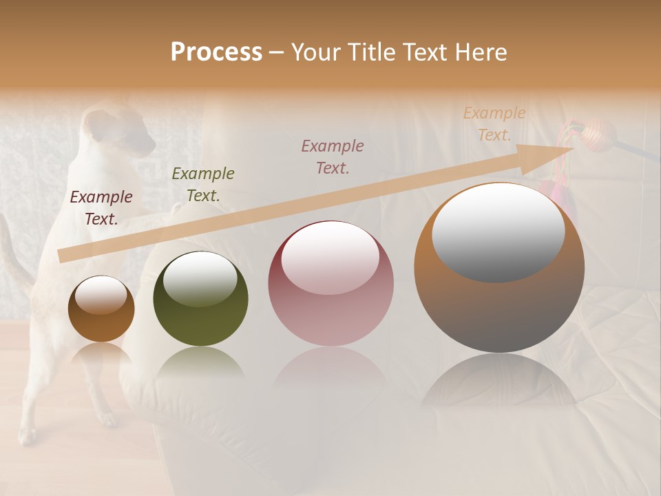 A Cat Standing On Its Hind Legs In Front Of A Couch PowerPoint Template