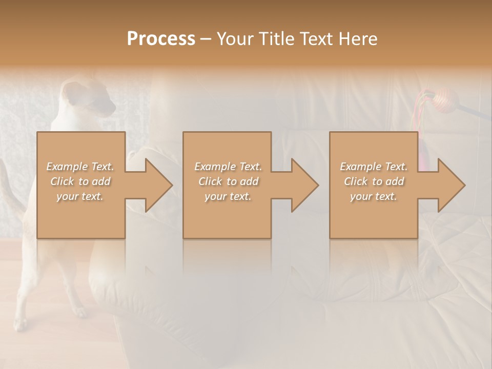 A Cat Standing On Its Hind Legs In Front Of A Couch PowerPoint Template