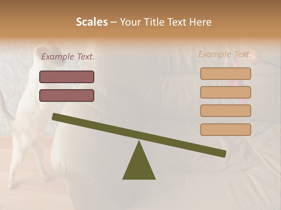 A Cat Standing On Its Hind Legs In Front Of A Couch PowerPoint Template