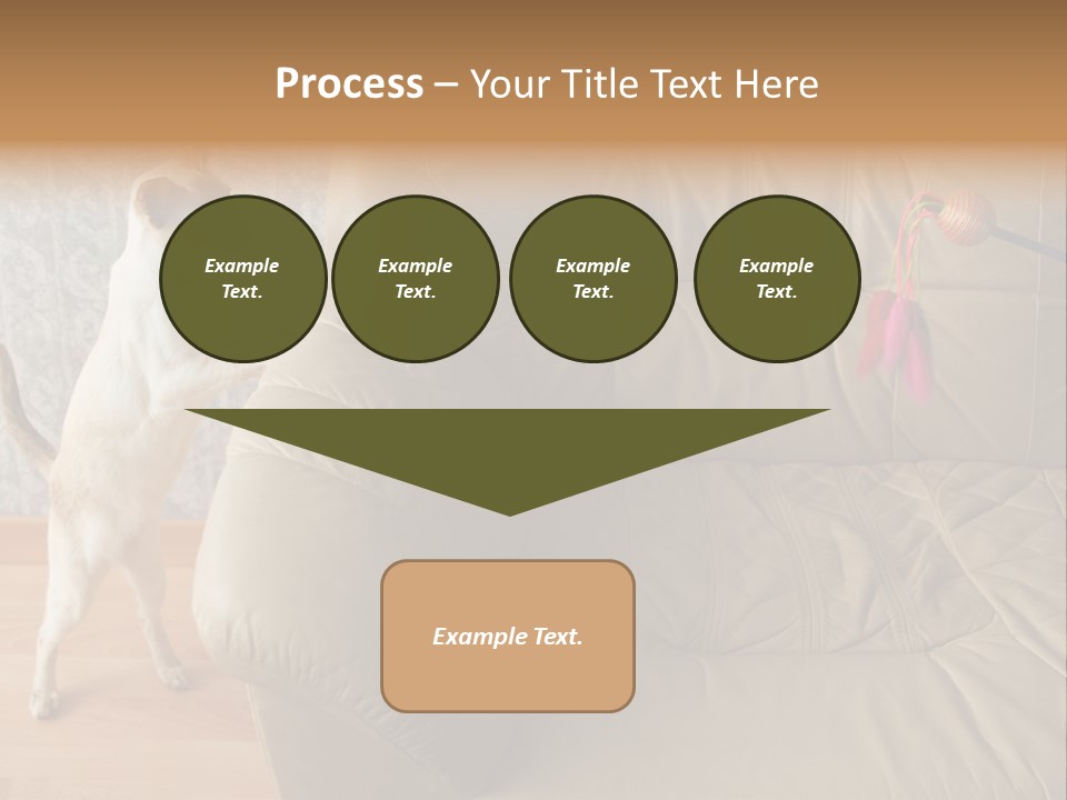 A Cat Standing On Its Hind Legs In Front Of A Couch PowerPoint Template