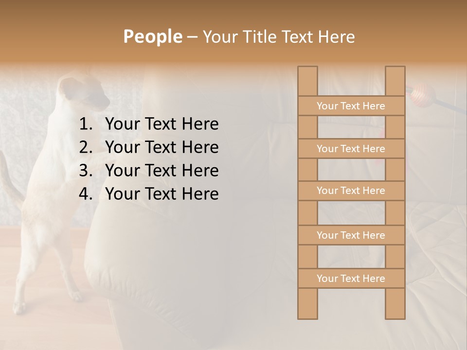 A Cat Standing On Its Hind Legs In Front Of A Couch PowerPoint Template